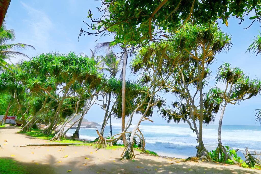 Naomi Beach Resort - Adults Only Weligama Luaran gambar